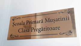 scoala-primara-musatinii-04-650x495