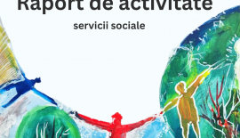 Img Raport de activitate